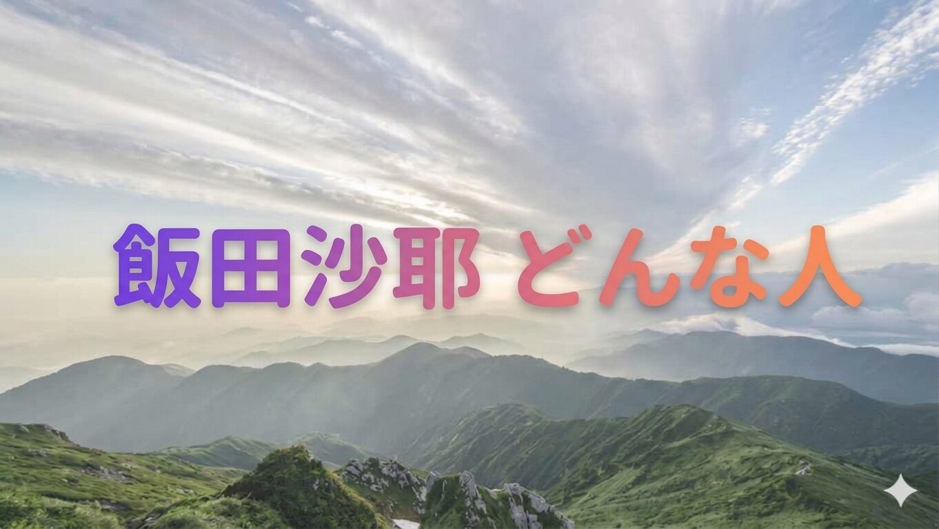 飯田沙耶 どんな人